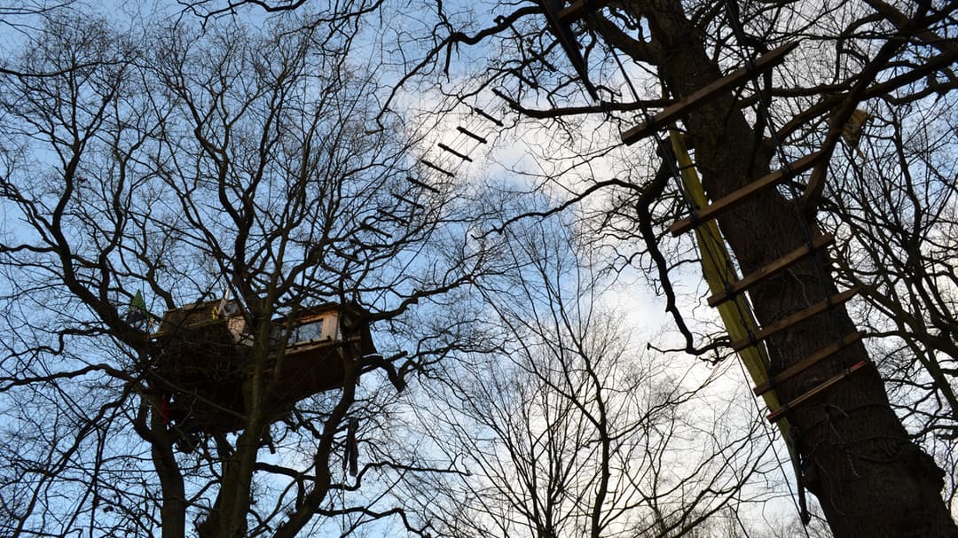 Hambacher Forst: Polizei räumt Baumhäuser