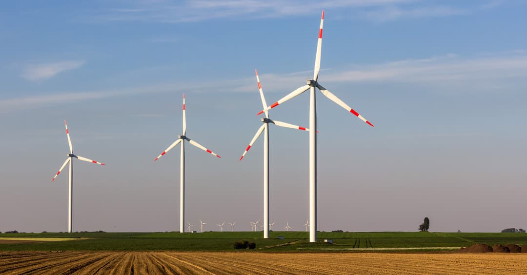 Waldabholzung für Windräder: Der Protest bleibt aus