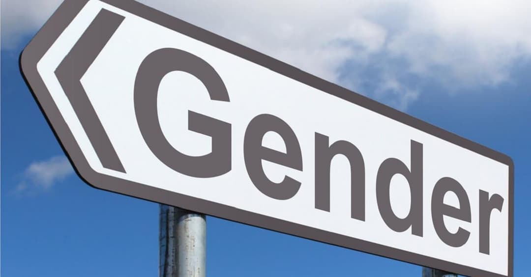 Sprachexperten rufen zum „Widerstand“ gegen „Gender-Unfug“ auf