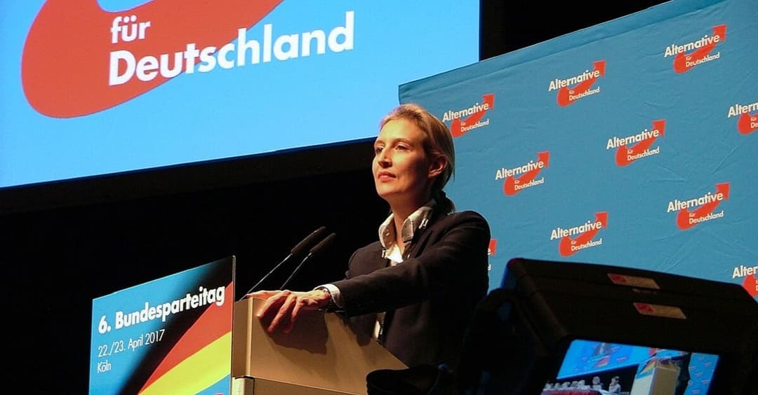 AfD stellt Strafanzeige gegen Verfassungsschutz