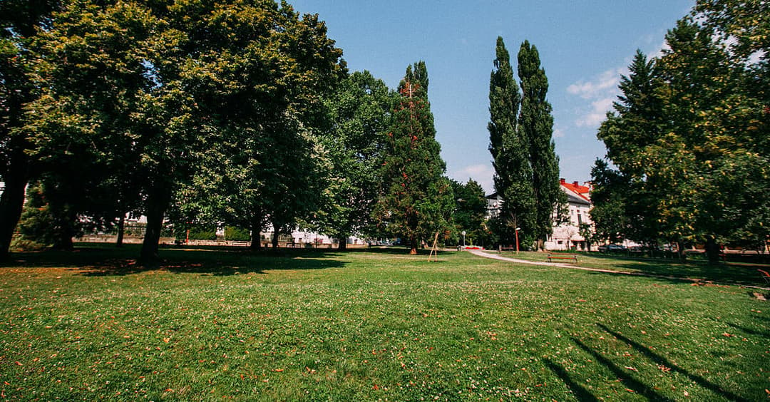 Graz: Schutzzonen so gut wie drogenfrei