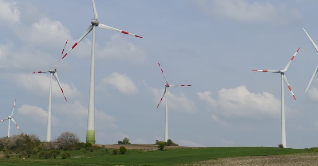 AfD-Kritik an Energiewende: Naturschutz als Opfer am Altar der Klimareligion