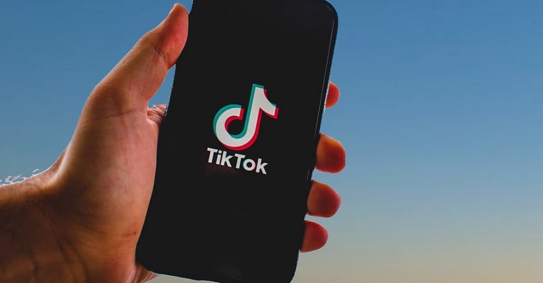 TikTok sperrt offiziellen AfD-Account