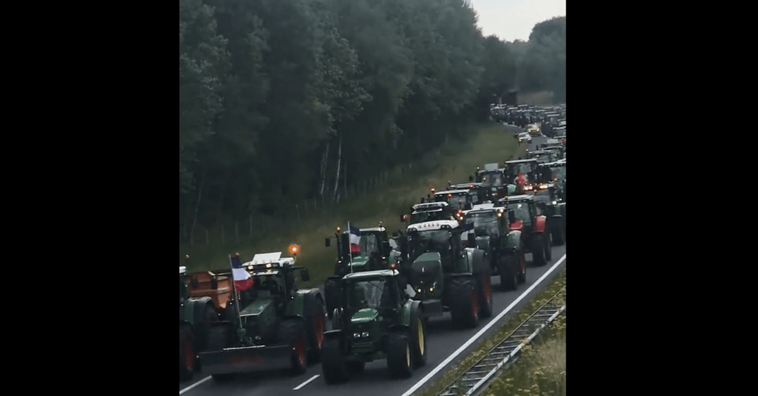 Proteste in den Niederlanden: Wütende Bauern haben die Schnauze voll