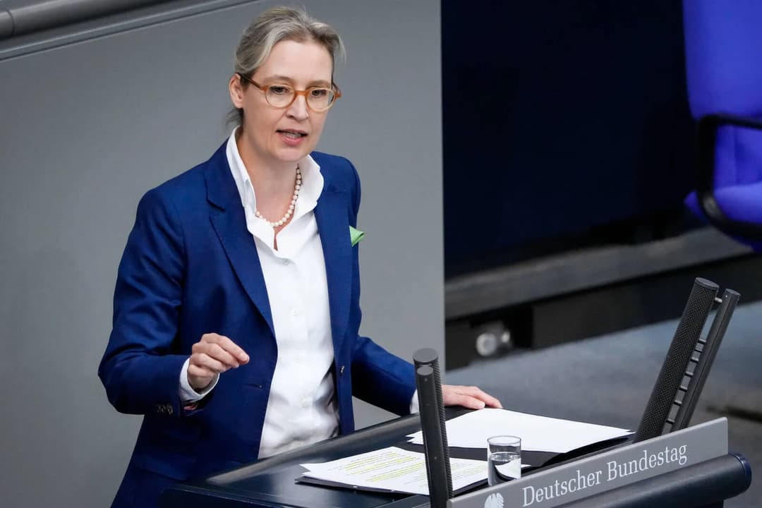 Diese Branche müsste wirklich unter einer AfD-Regierung um ihre Jobs fürchten