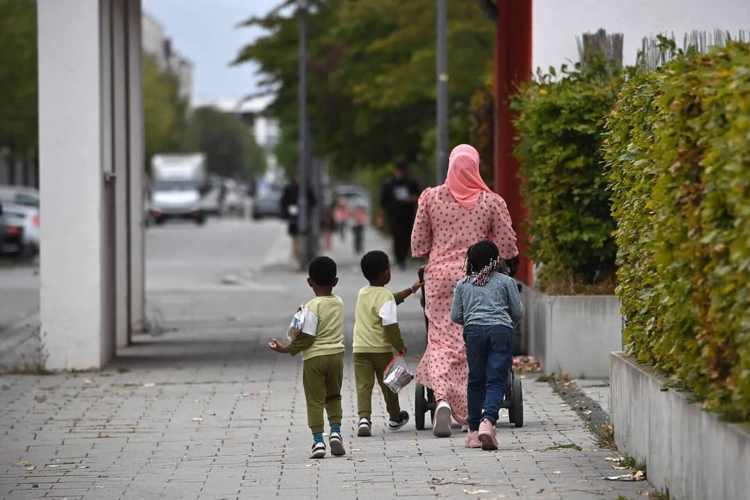 Politikwissenschaftlerin: „Deutschland hat nicht zu viel, sondern zu wenig Zuwanderung“