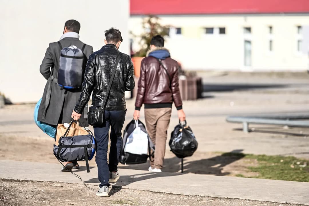 Neue Daten: Massive Zuwanderung führt zu Männerüberschuss in der deutschen Bevölkerung