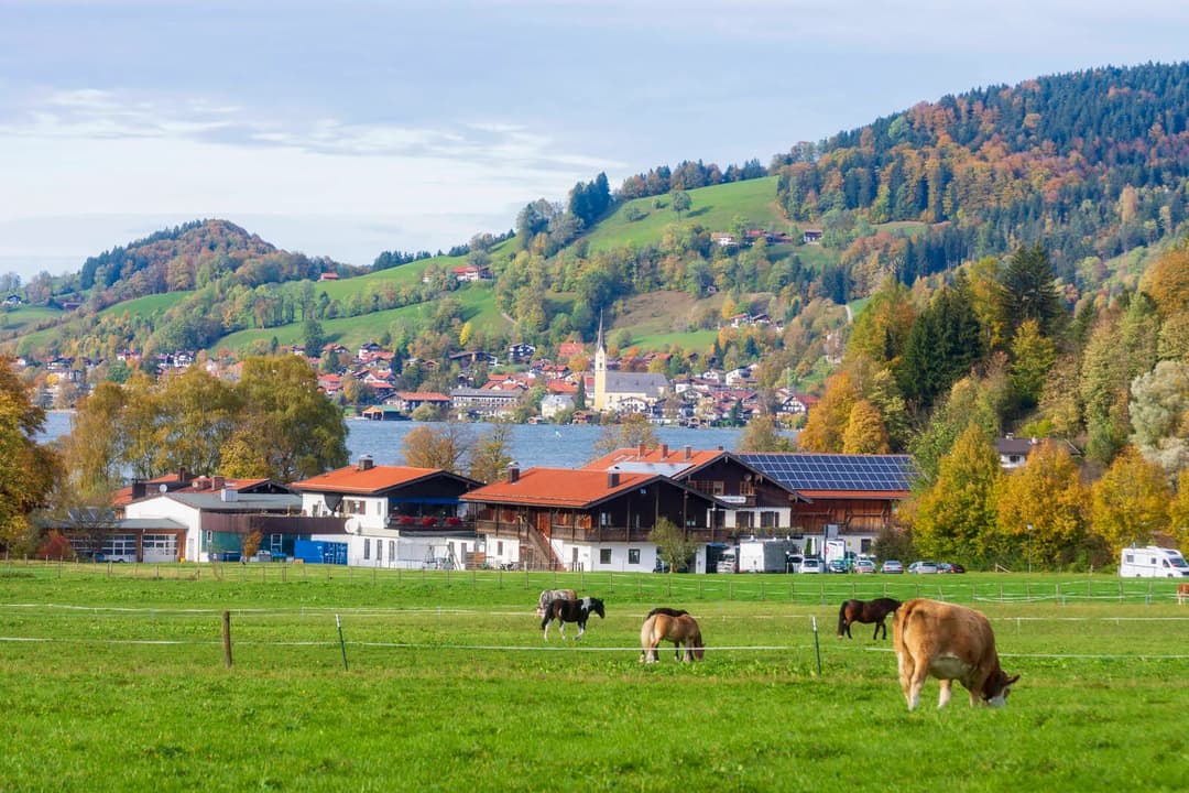 „Das Landleben macht reaktionär“: Philosoph kritisiert Dorfstrukturen