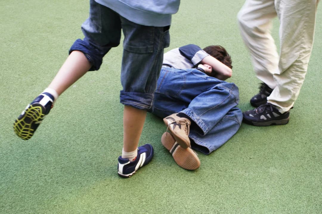 Ein Drittel ausländische Tatverdächtige: Gewalt an sächsischen Schulen nimmt dramatisch zu