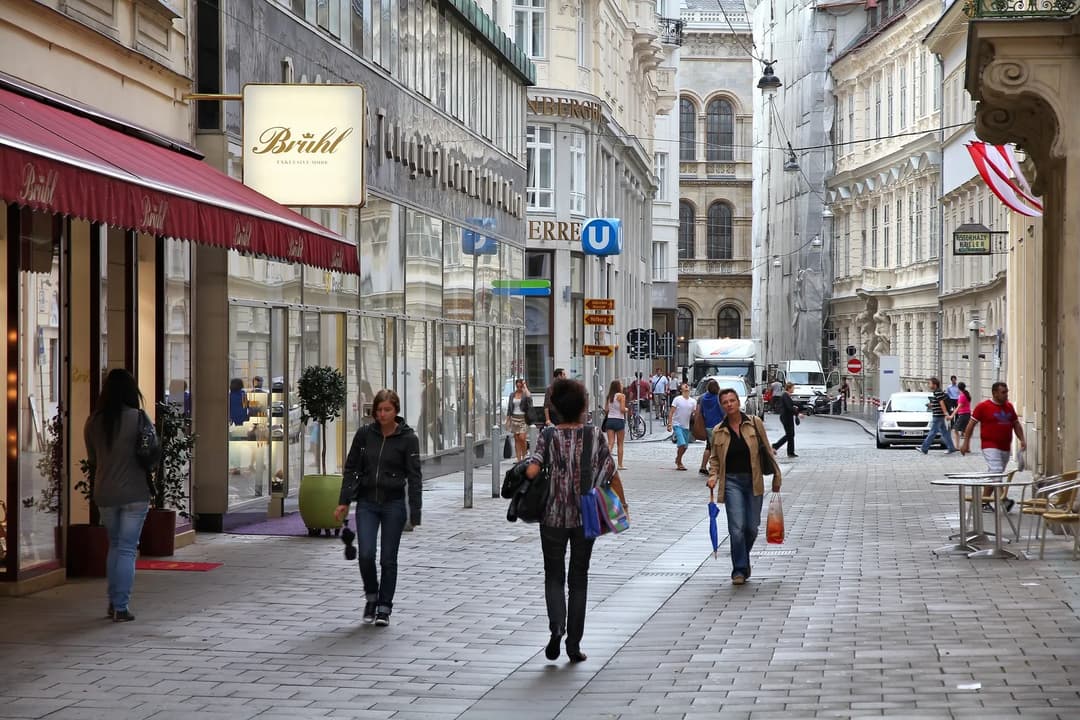 EU-Wahl: Rund 14 Prozent der Wahlberechtigten in Wien sind keine Österreicher