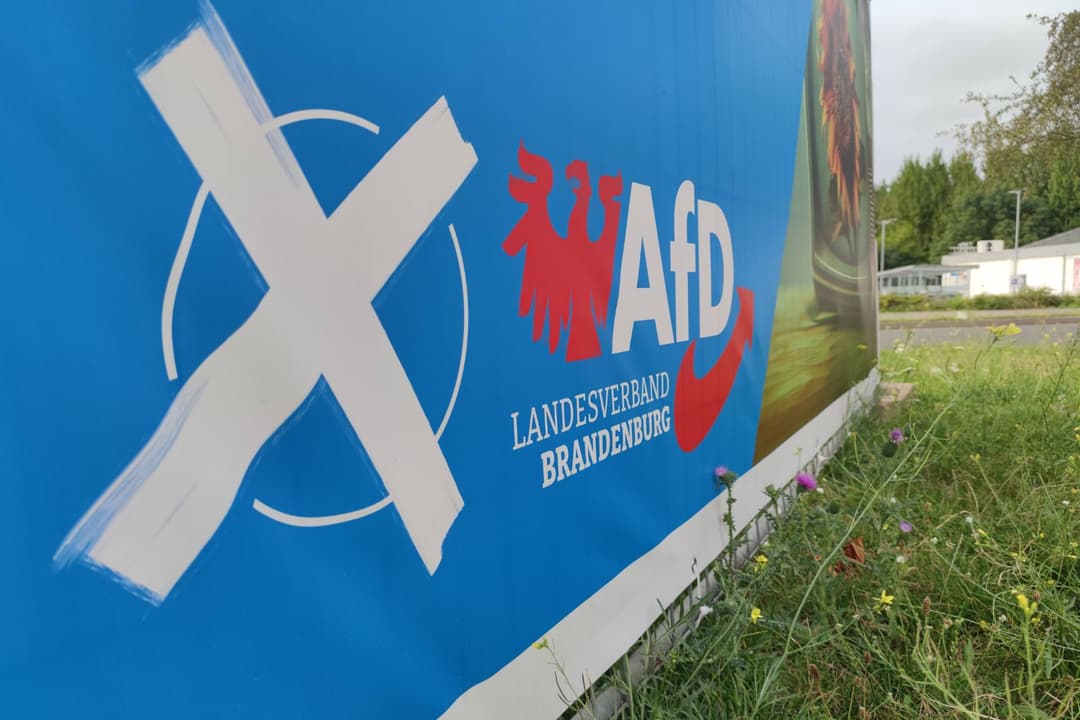 Brandenburger AfD-Website lahmgelegt: Partei spricht von Hacker-Angriff