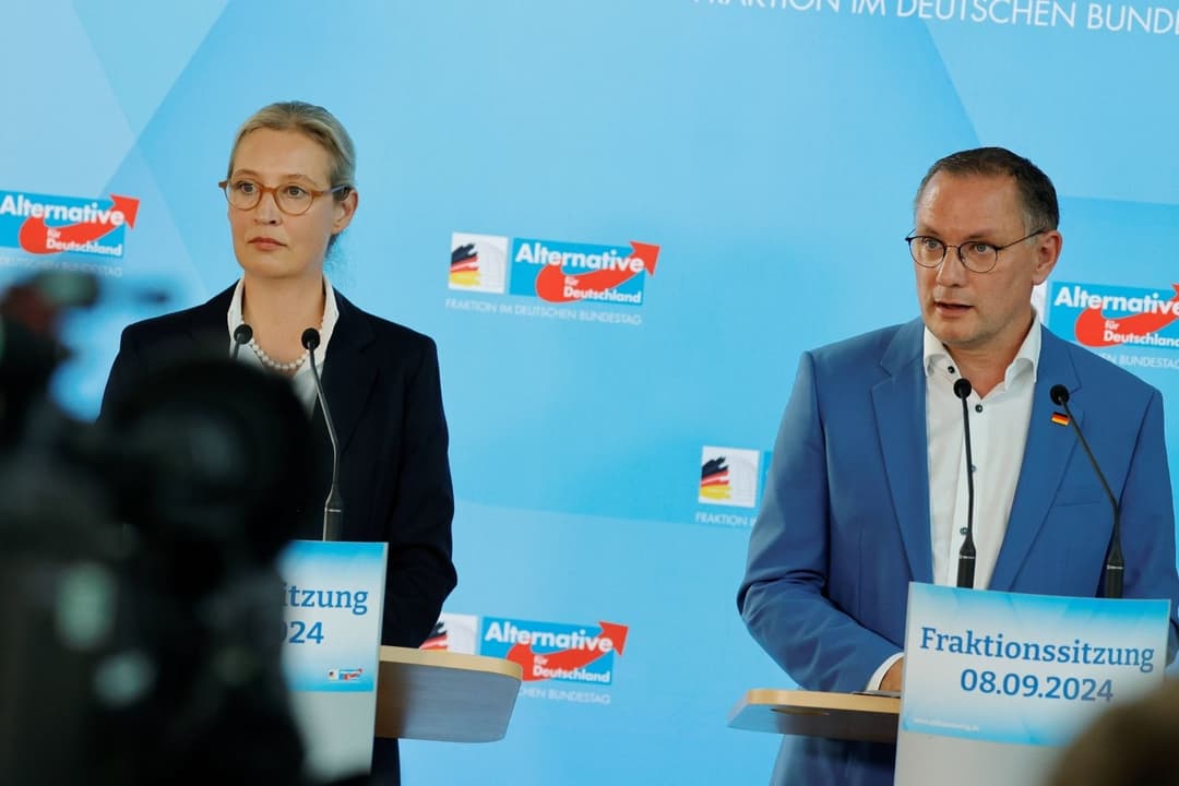 „Endspurt für Deutschland“: AfD präsentiert neues Positionspapier