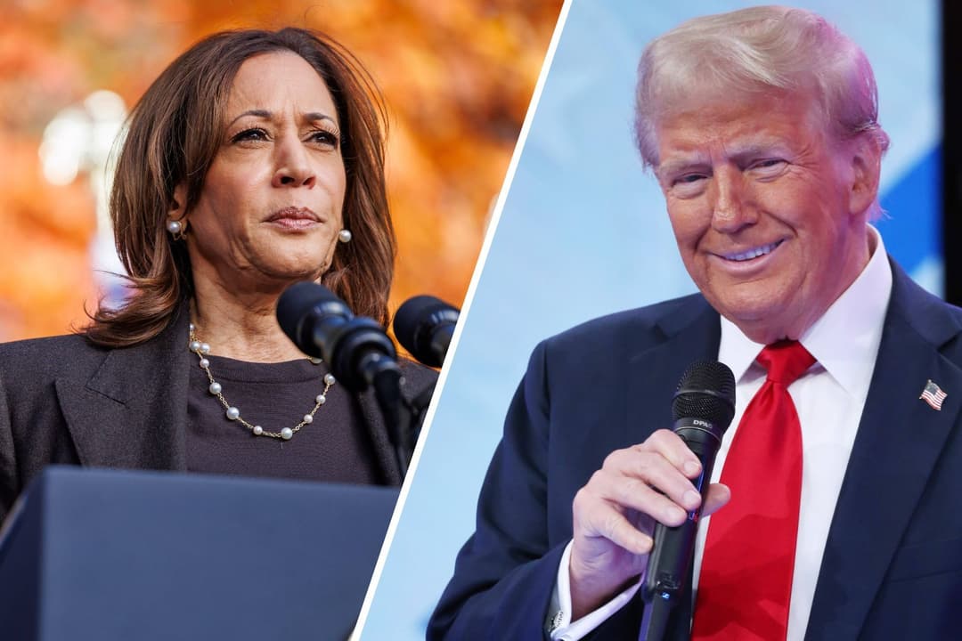 Trump vs. Harris: Buchmacher sehen Ex-Präsidenten vorn