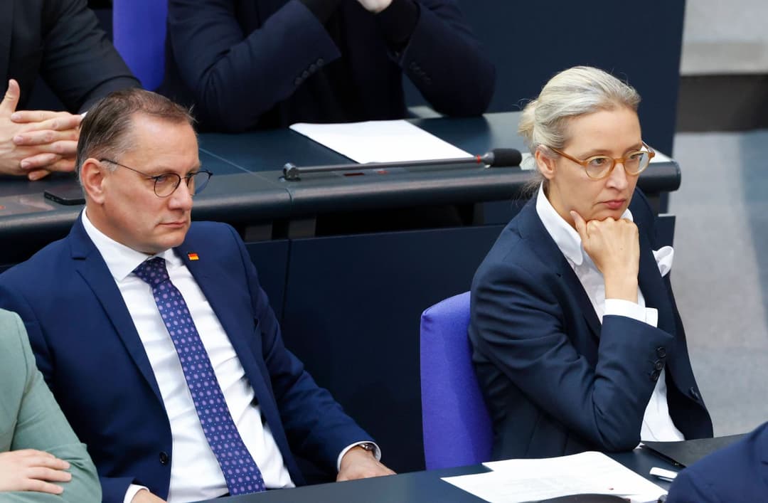 „Aktivierende Bevölkerungspolitik“: AfD will Familienministerium umbauen