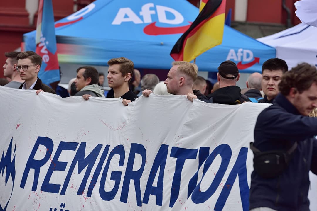 Neue Jugendorganisation: So reagieren AfD-Vertreter auf die geplante Reform