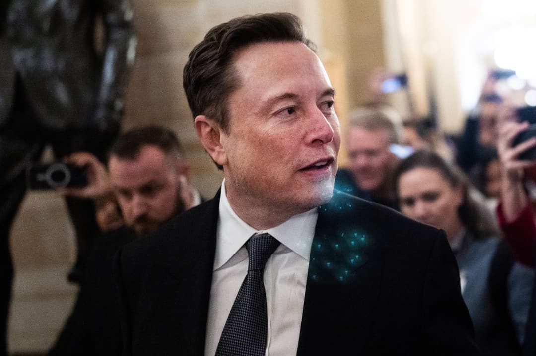 Musk nennt AfD „letzte Hoffnung“ – selbst Grünen-Wähler stimmen teilweise zu