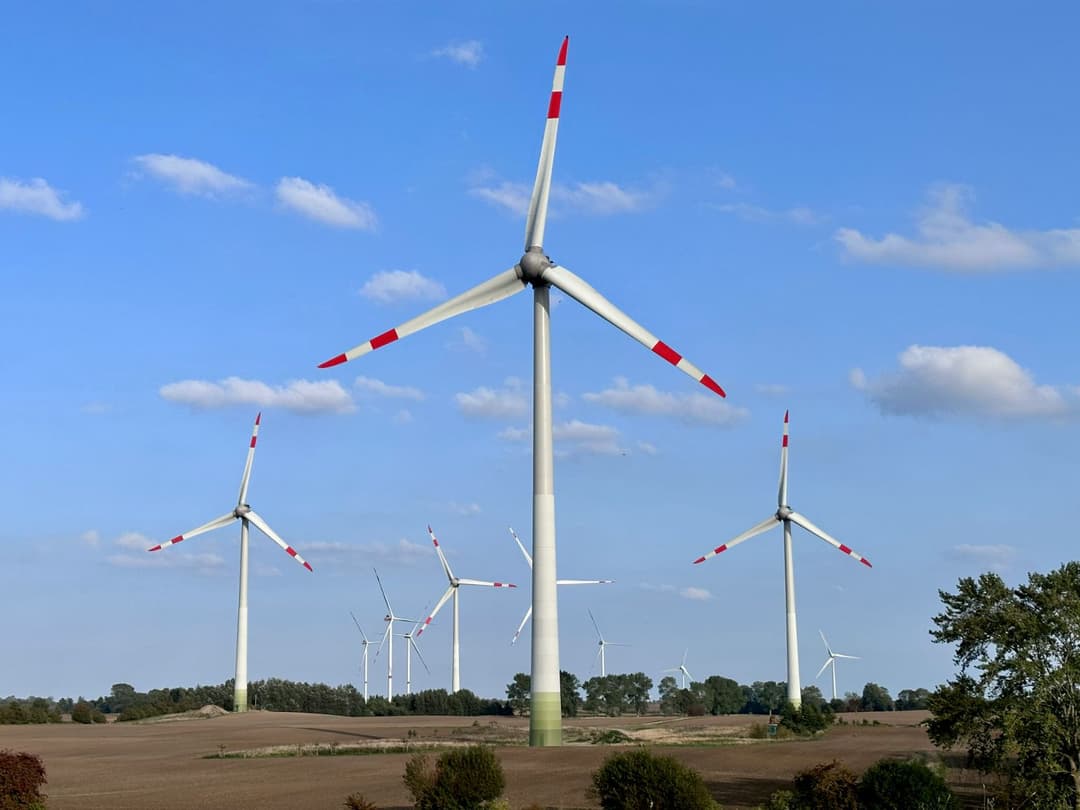 Kärntner stimmen in Volksbefragung gegen Windkraft