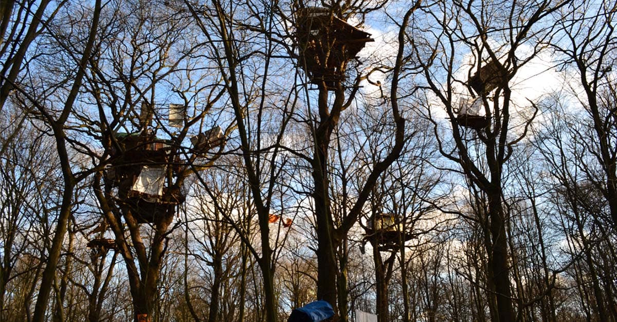 Nach Tod im Hambacher Forst: Landesregierung stoppt Räumung