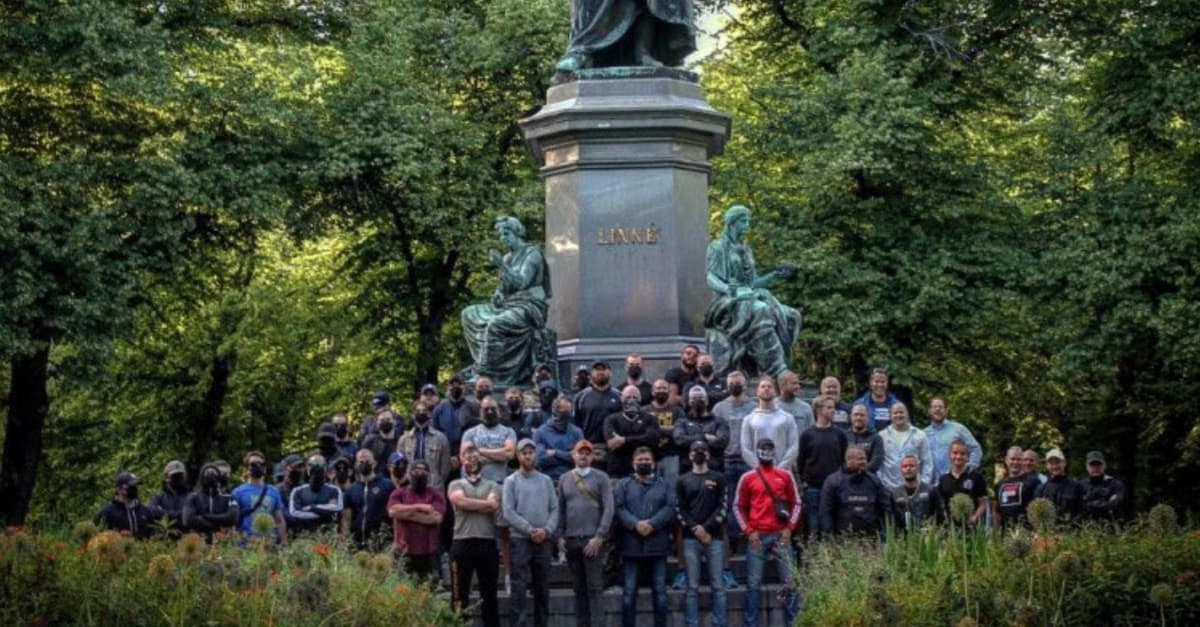 Schweden: Hooligans bewachen Linné-Denkmal vor Antifa