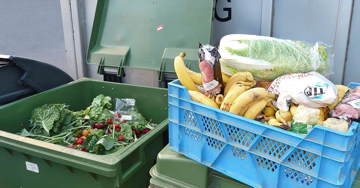 Türkis-Grün plant Wegwerfverbot für Lebensmittelhändler