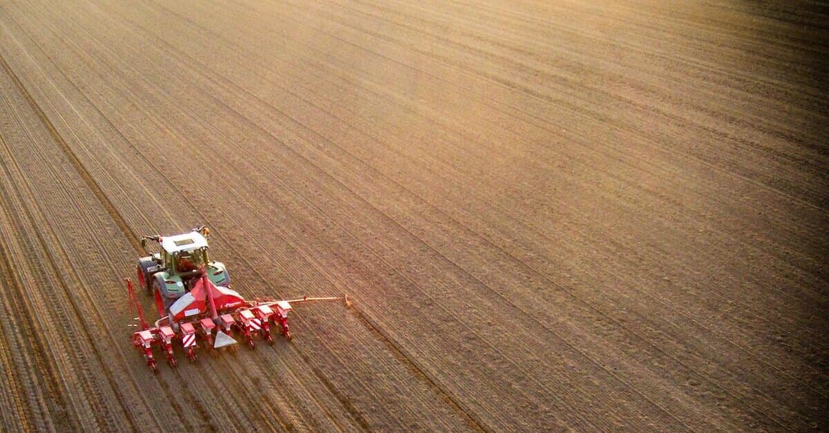 Ministerbeschluss soll regionale öffentliche Beschaffung von Lebensmitteln stärken