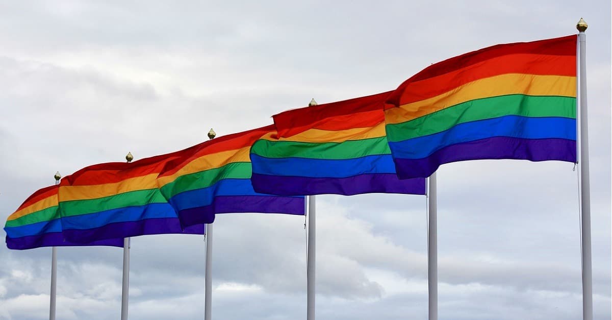 Freiheitliche Jugend feiert „Patriotenmonat statt Pride Month“