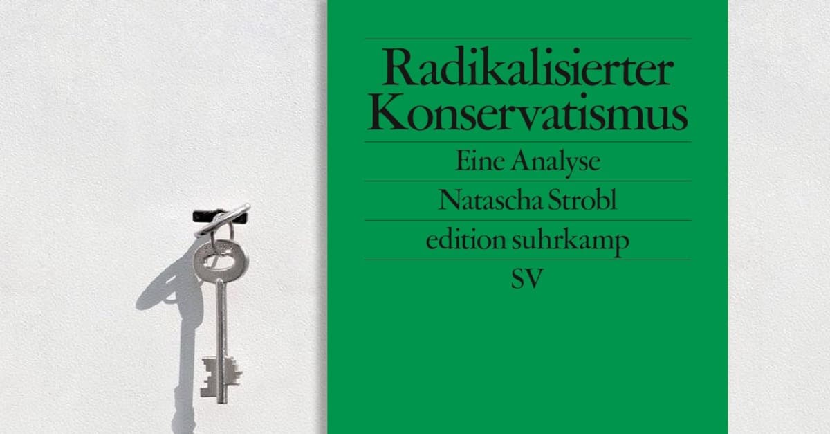 DAS POLITISCHE BUCH: Nats Nazis