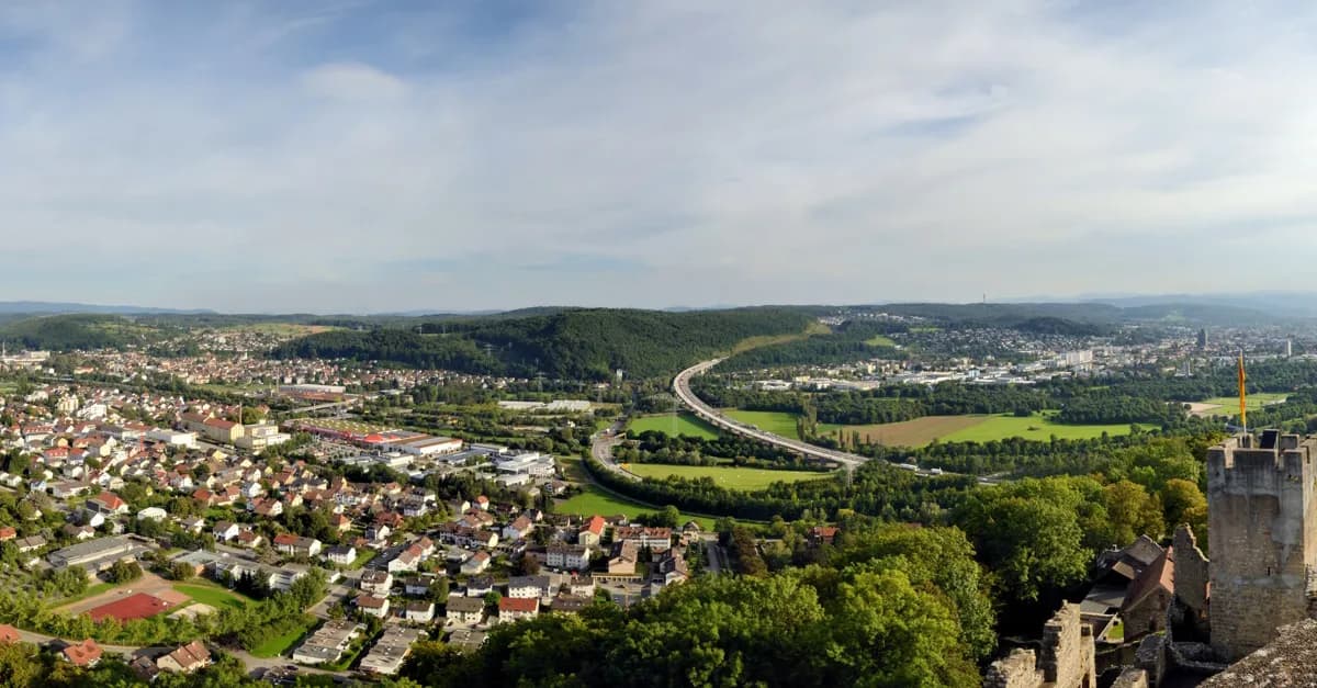 AfD-Fraktion stellt Strafanzeige gegen Wohnbaugesellschaft in Lörrach