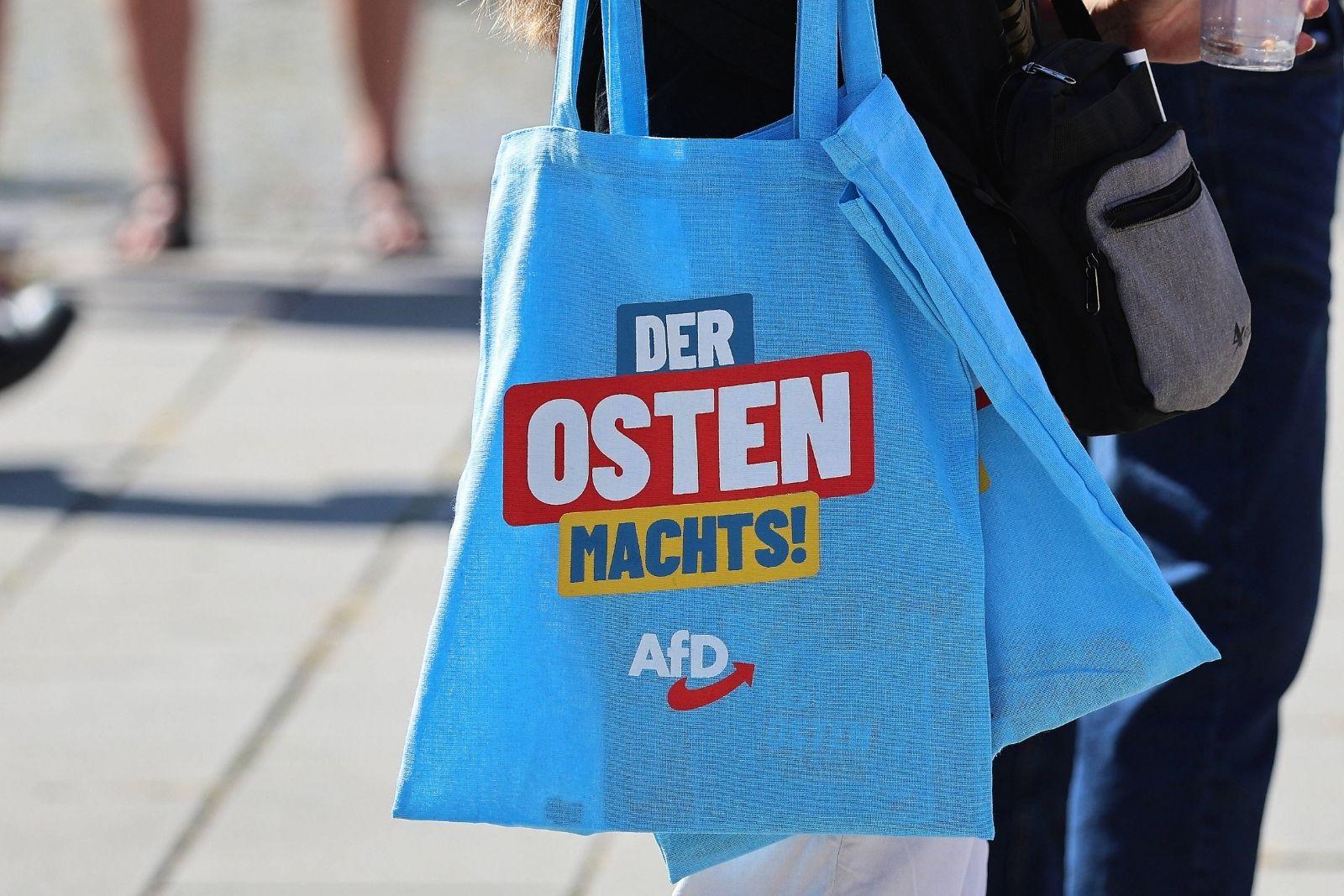 Umfrage: Deutsche gespalten über Zusammenarbeit mit der AfD