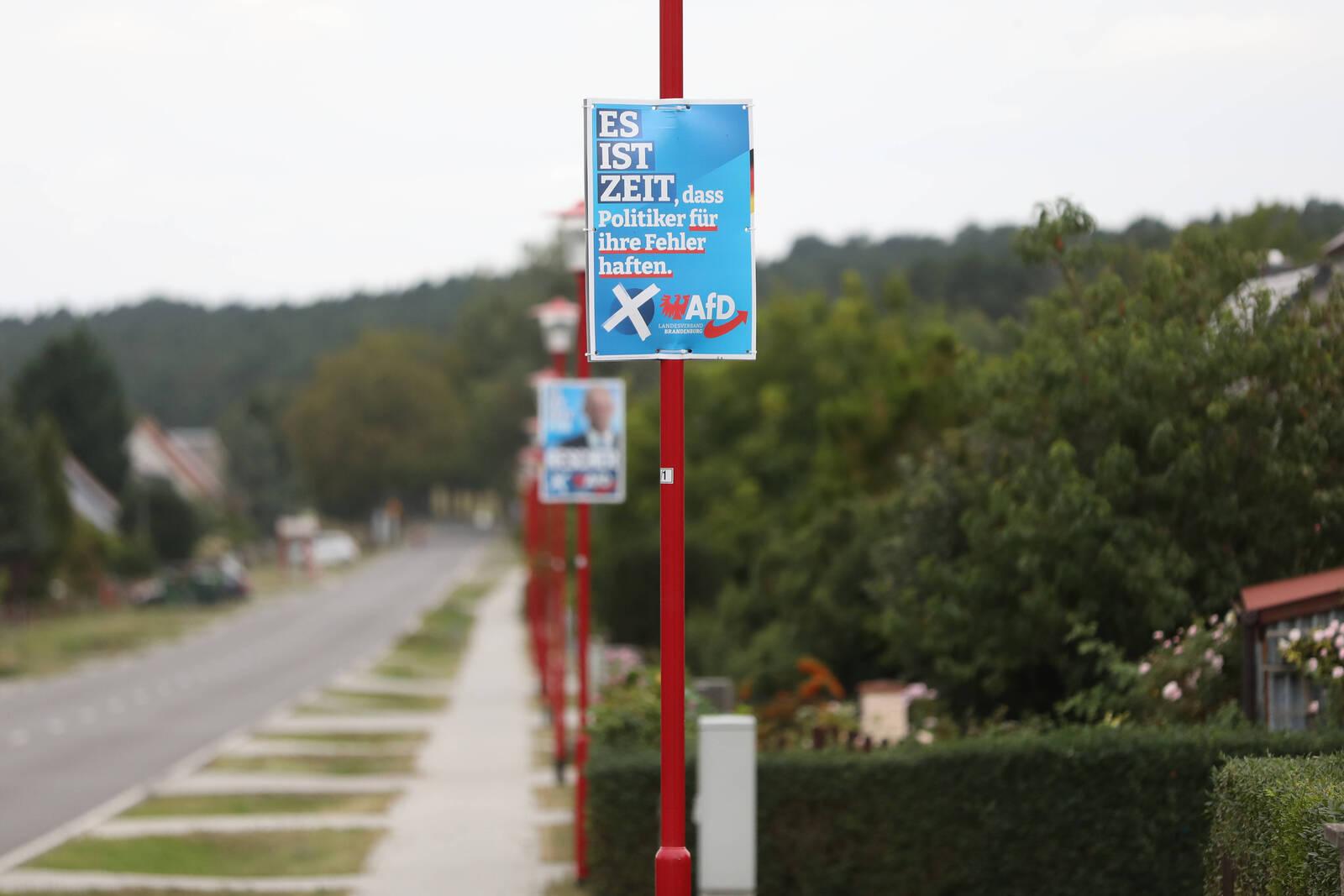 Umfrage-Hammer: AfD in Brandenburg mit 30 Prozent mit Abstand in Führung