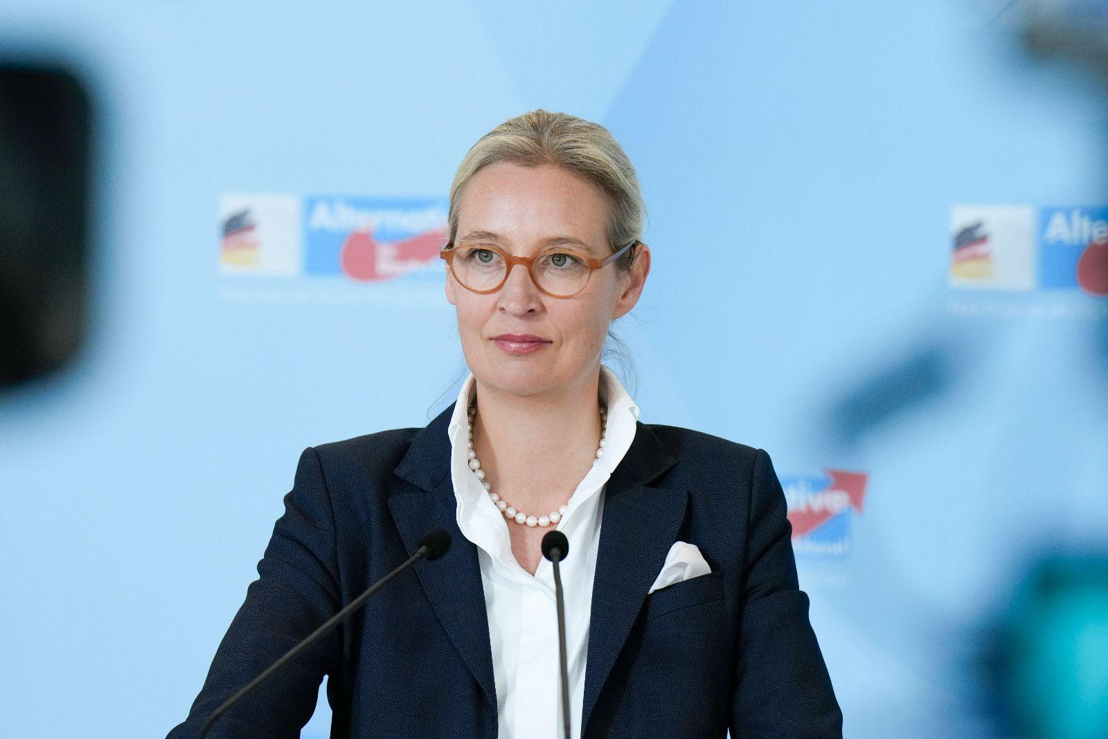 Moderatoren sprachlos: Wie Weidel den Trump-Vergleich der AfD scharf konterte