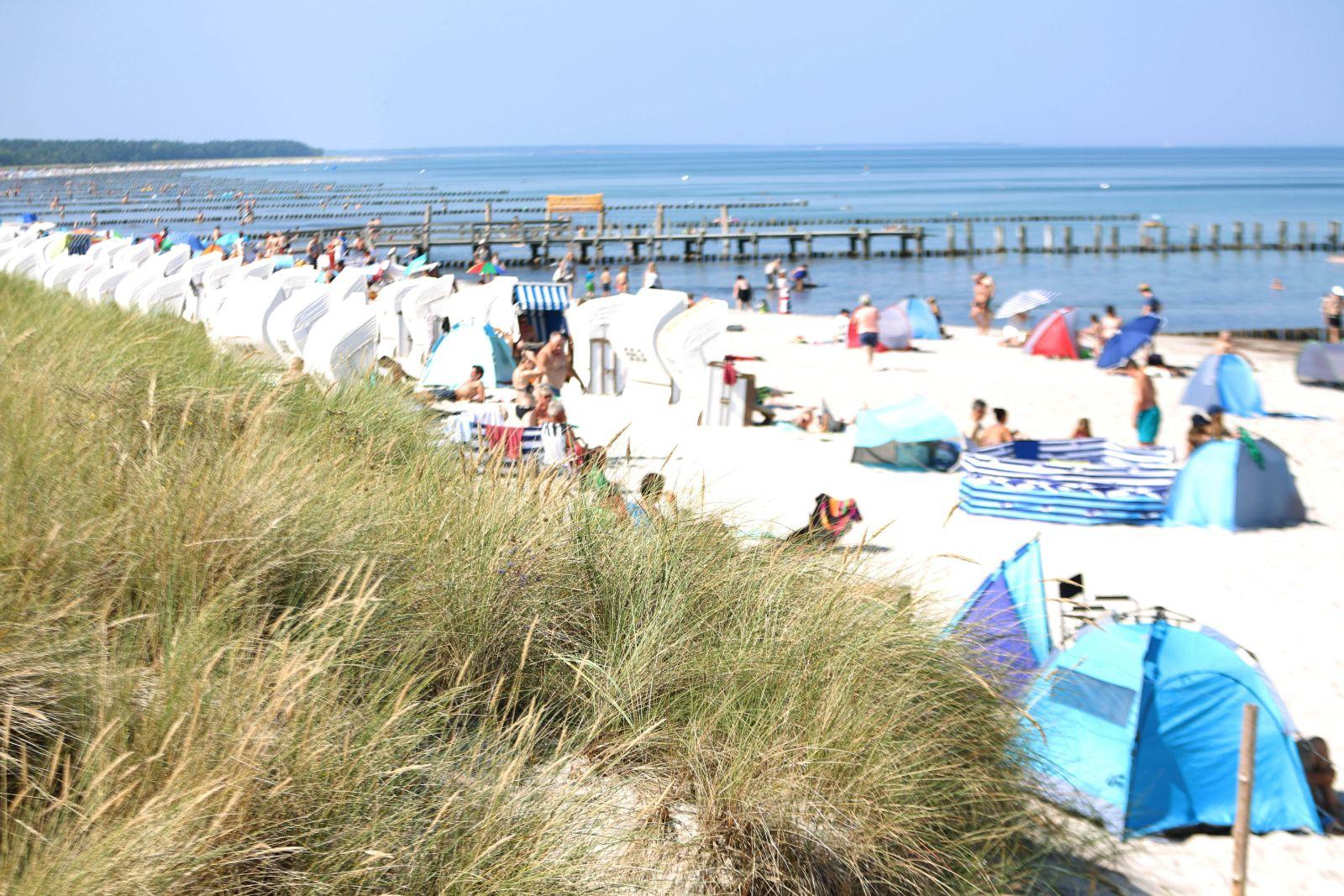 Nach AfD-Wahlerfolg: Touristen wollen laut Berichten Ostseeküste meiden